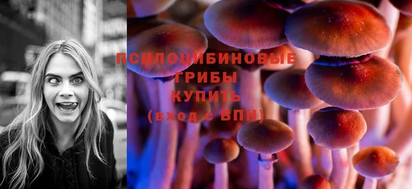 ПСИЛОЦИБИНОВЫЕ ГРИБЫ Мегион