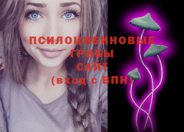 ПСИЛОЦИБИНОВЫЕ ГРИБЫ Мегион