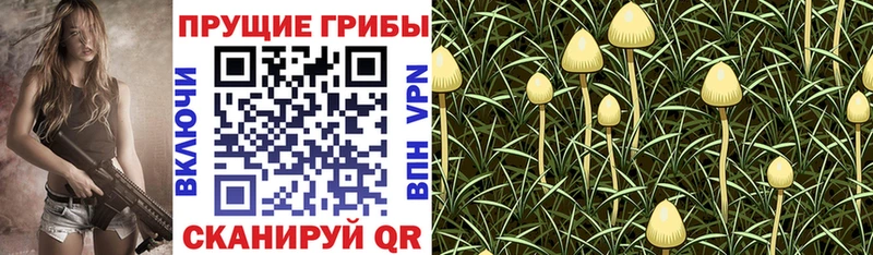 Галлюциногенные грибы ЛСД omg зеркало Поворино